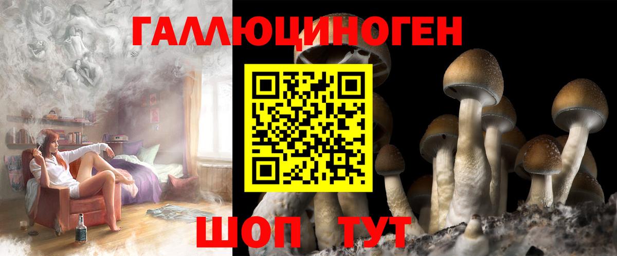 Псилоцибиновые грибы Psilocybe  Псилоцибиновые грибы ЛСД  Вход с VPN  Губкин 